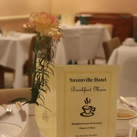 Saxonville Otel